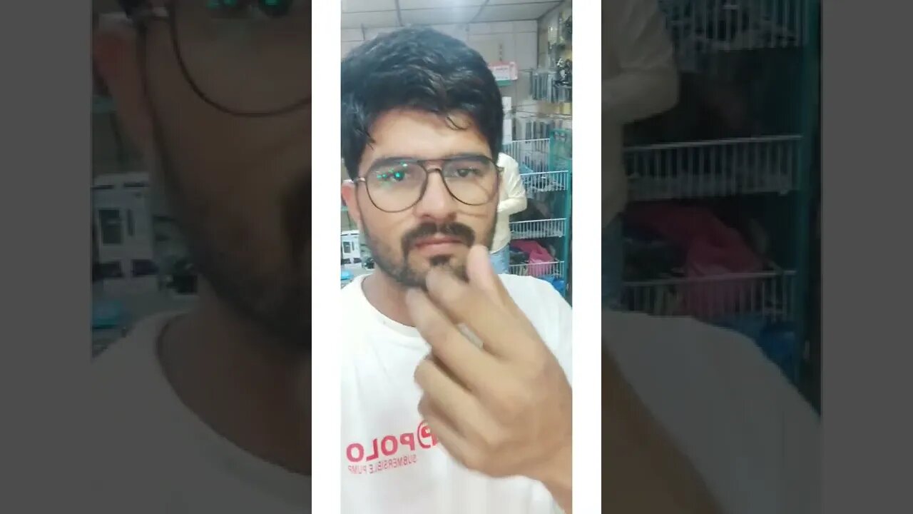 lion power #youtubeshorts #shorts