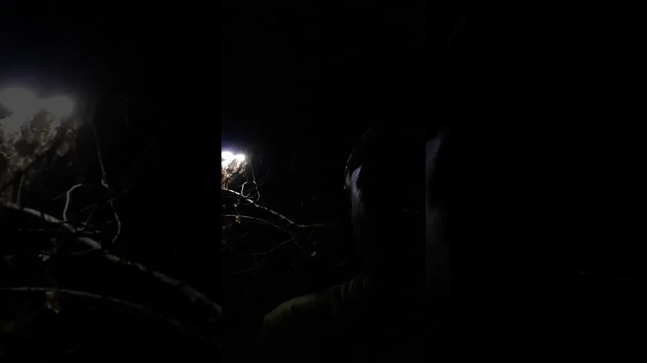 Jamming that Upchurch down at the river!