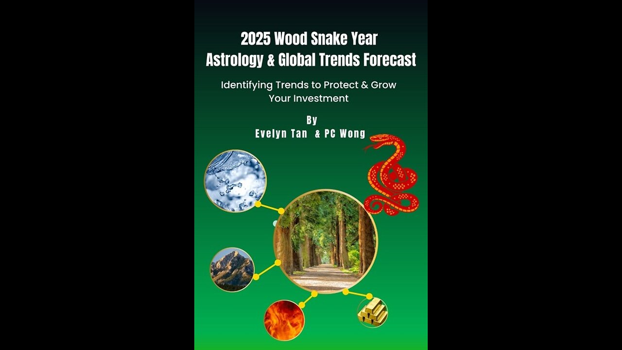 2025 WOOD SNAKE YEAR - BOOK INTRODUCTION