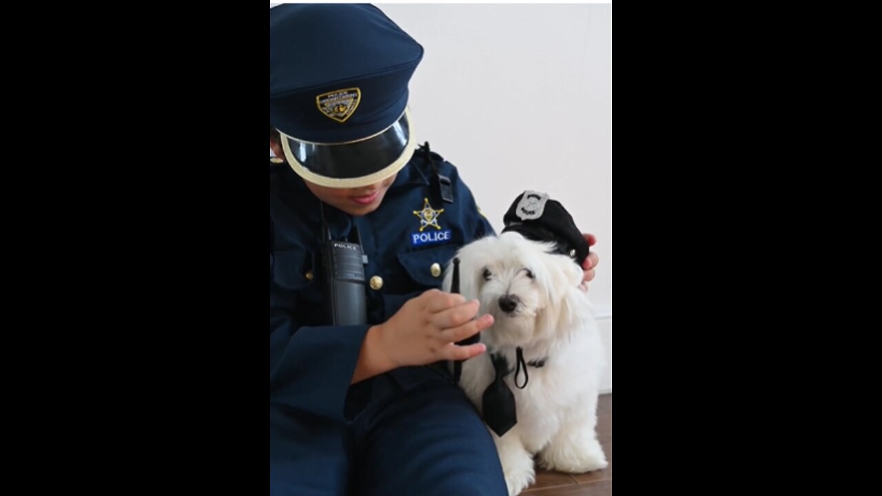 On duty Dog