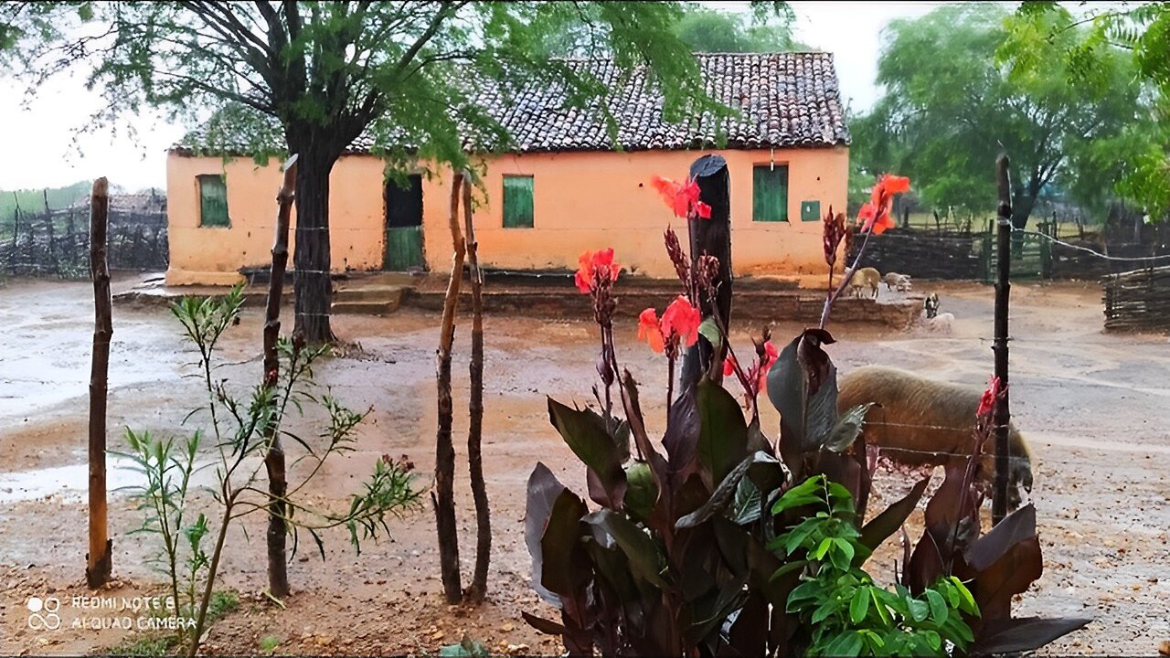 RAIN IN THE NORDESTINE SERTAO OF BRAZIL, A WONDERFUL