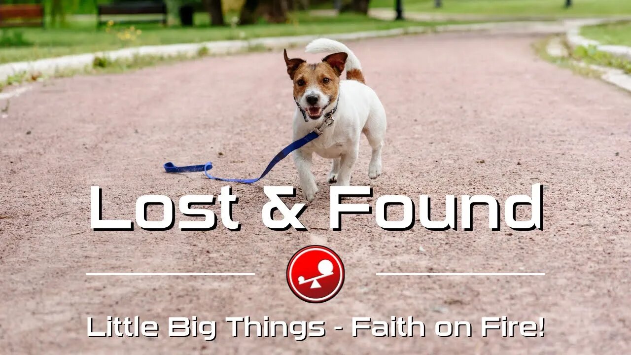 LOST AND FOUND – Jesus Helps Us Find Our Way – Daily Devotional – Little Big