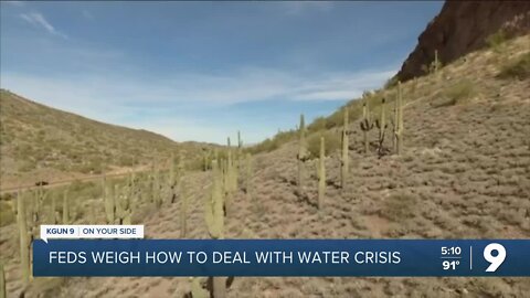 Feds weigh how to deal with water crisis