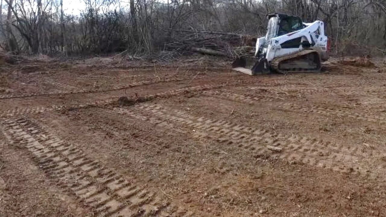 Southern Illinois food plot update; Bobcat T650 and 4 in 1 bucket grading a rough grade