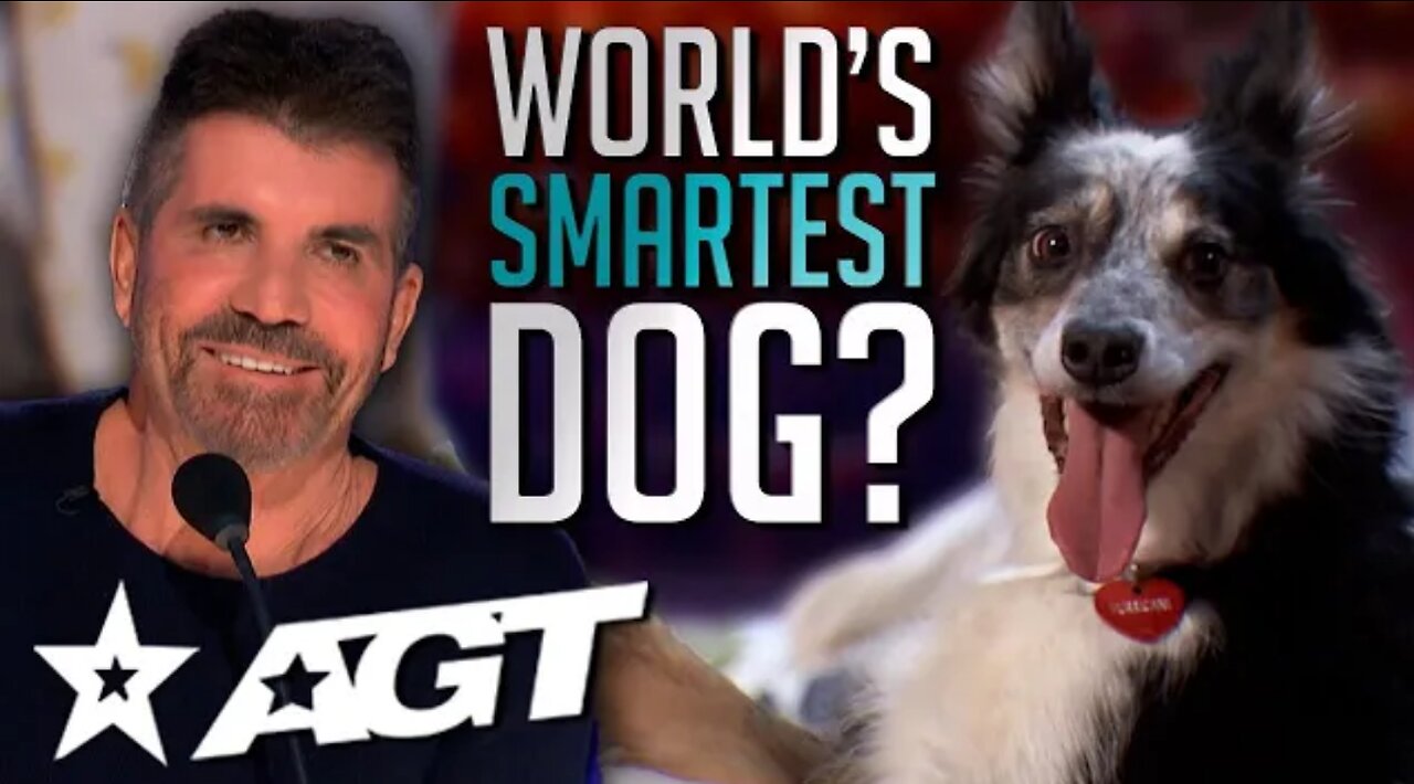 The World's Smartest Dog? Dog Helps Owner Get Ready in an ADORABLE Audition on America's Got Talent!
