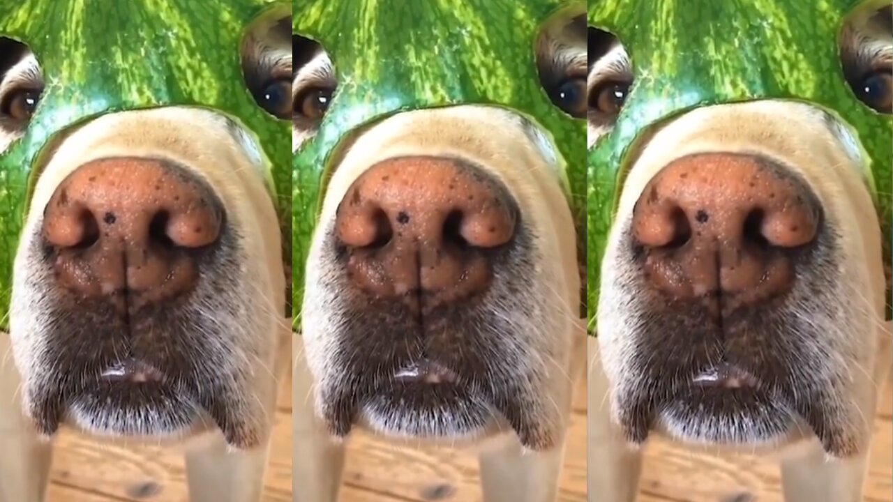 Simba's cucumber mask