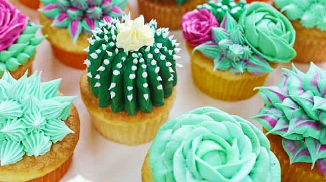 Succulent Cup Cake Recipe