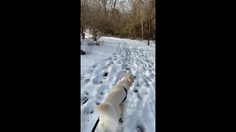 Taking a walk in the park