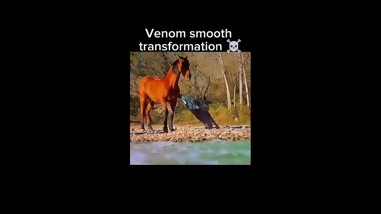 Venom Smoth Transfermation #venom