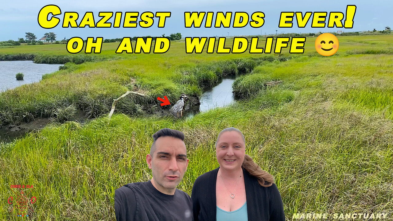 WILDLIFE, WINDS AND WEBCAM!!! | Marine Nature Study Area