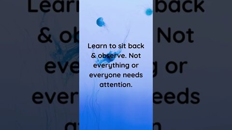 Sit Back & Observe