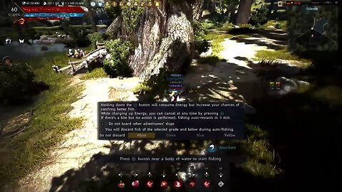 BDO the problems it has and ways to fix them