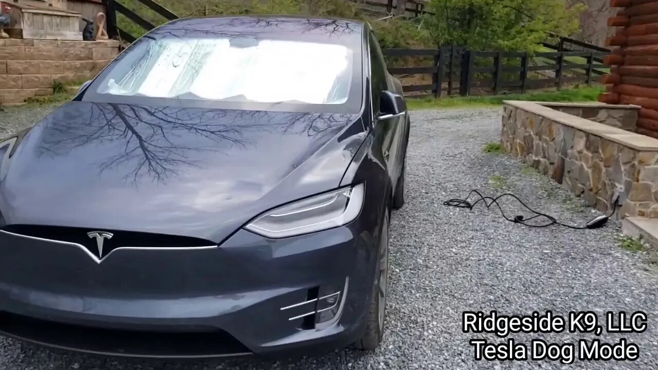 Tesla Model X "Dog Mode" Review. Ridgeside K9 Review a Tesla Model X For Dog Transportation