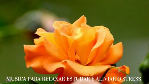 MUSICA PARA RELAXAR ESTUDAR E ALIVIAR O STRESS Seasons - Telecasted 4K