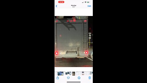 🦁❤️😶💔😶❤️🦁