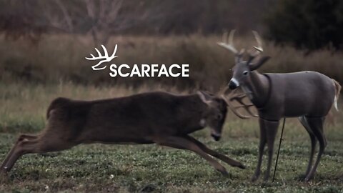 BUCK SMASHES DECOY! You WON'T Believe What Happens Next...