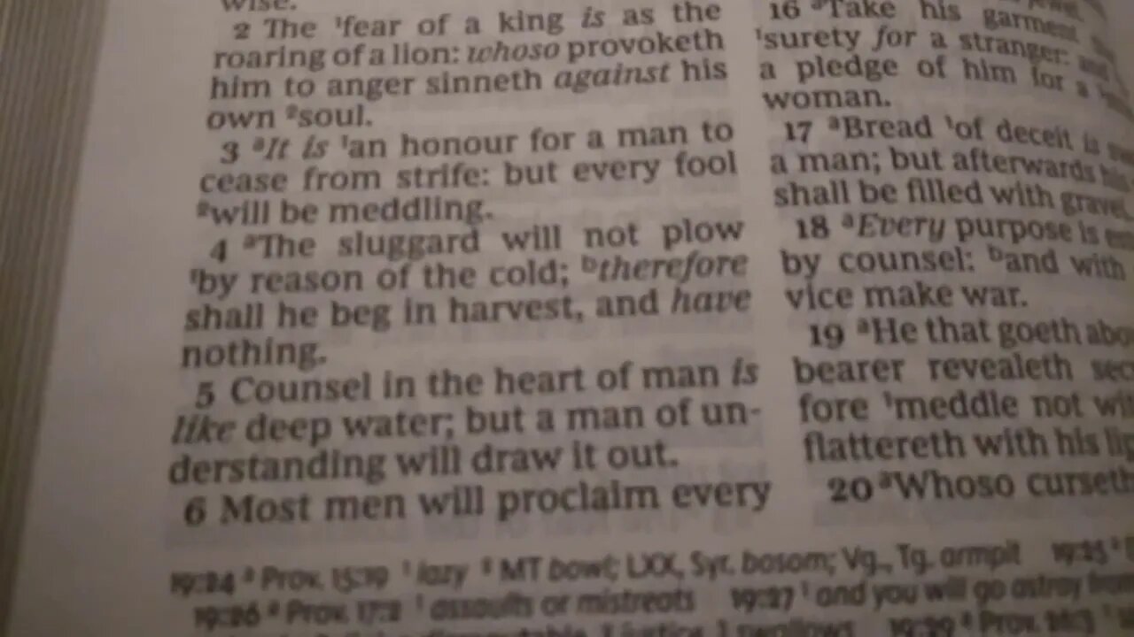 Proverbs 20:1-5 KJV