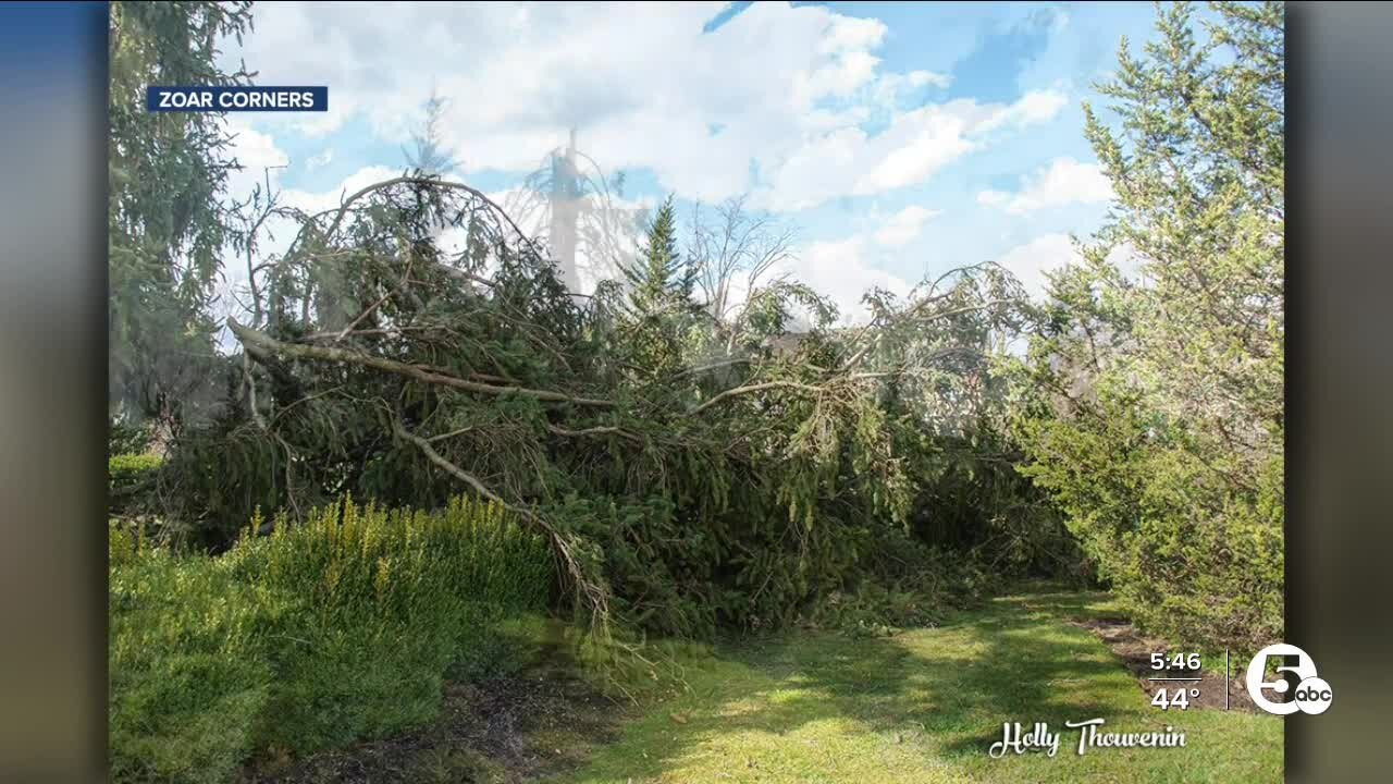 Severe winds destroy historic ‘Tree of Everlasting Life’ in Tuscarawas County garden