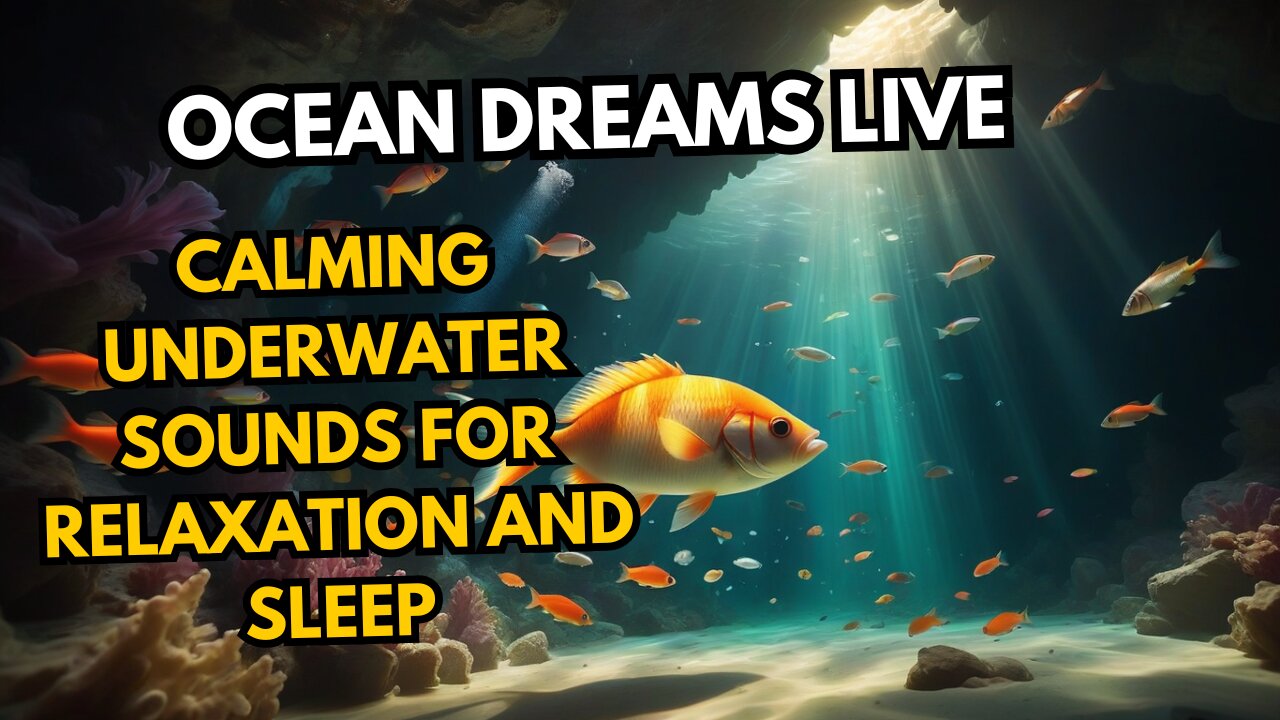 Ocean Dreams Live | Calming Underwater Sounds for Relaxation and Sleep