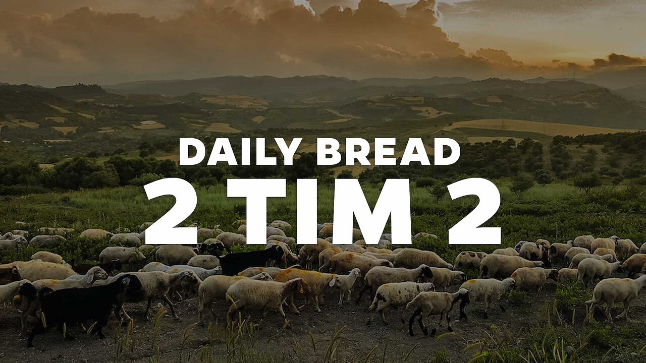 Daily Bread - 2 Tim 2