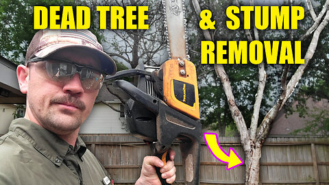 Removing A Dead Tree Completely!!