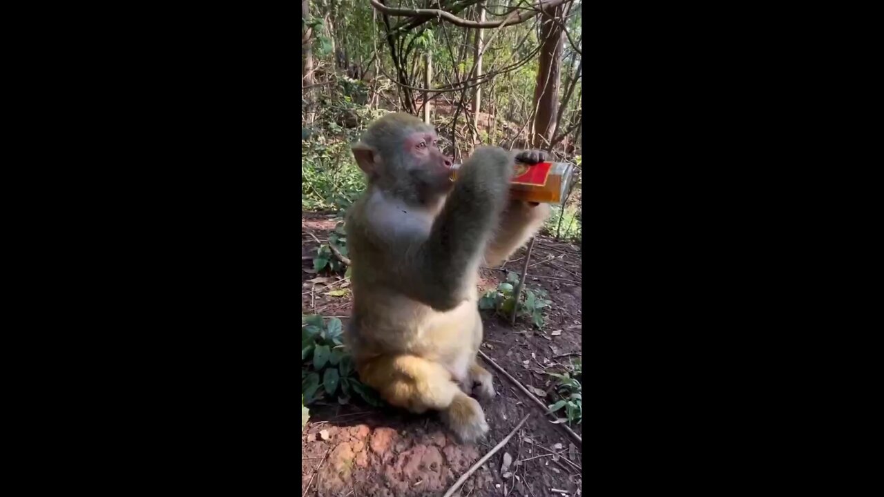 me sarabi sarabi nahi