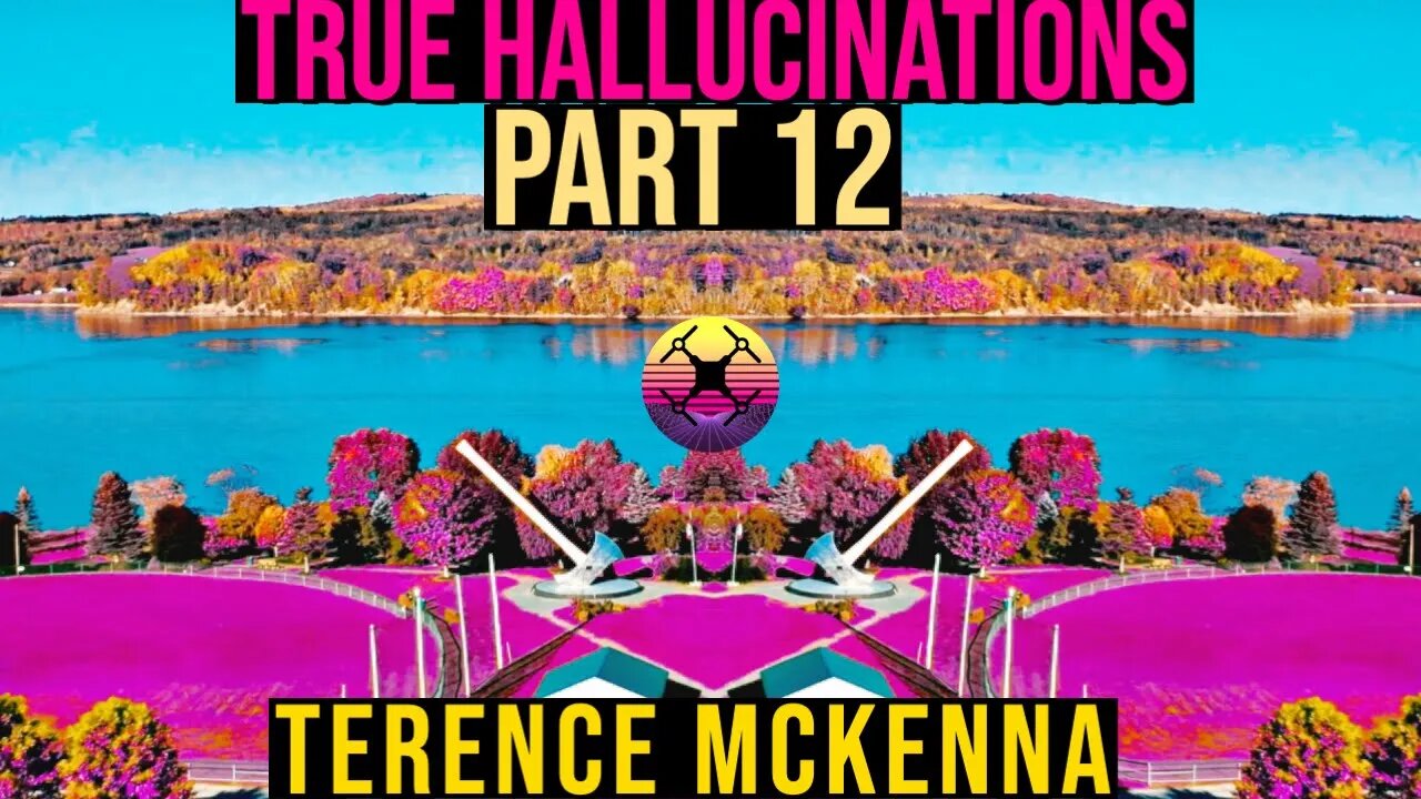 Terence McKenna - True Hallucinations Part 12