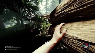 The Forest em Família - Parte 4