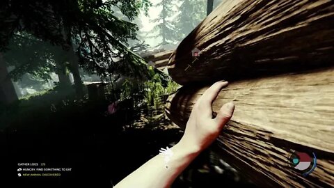 The Forest em Família - Parte 4
