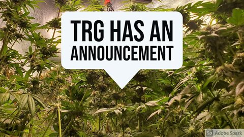 TRG has an announcement!