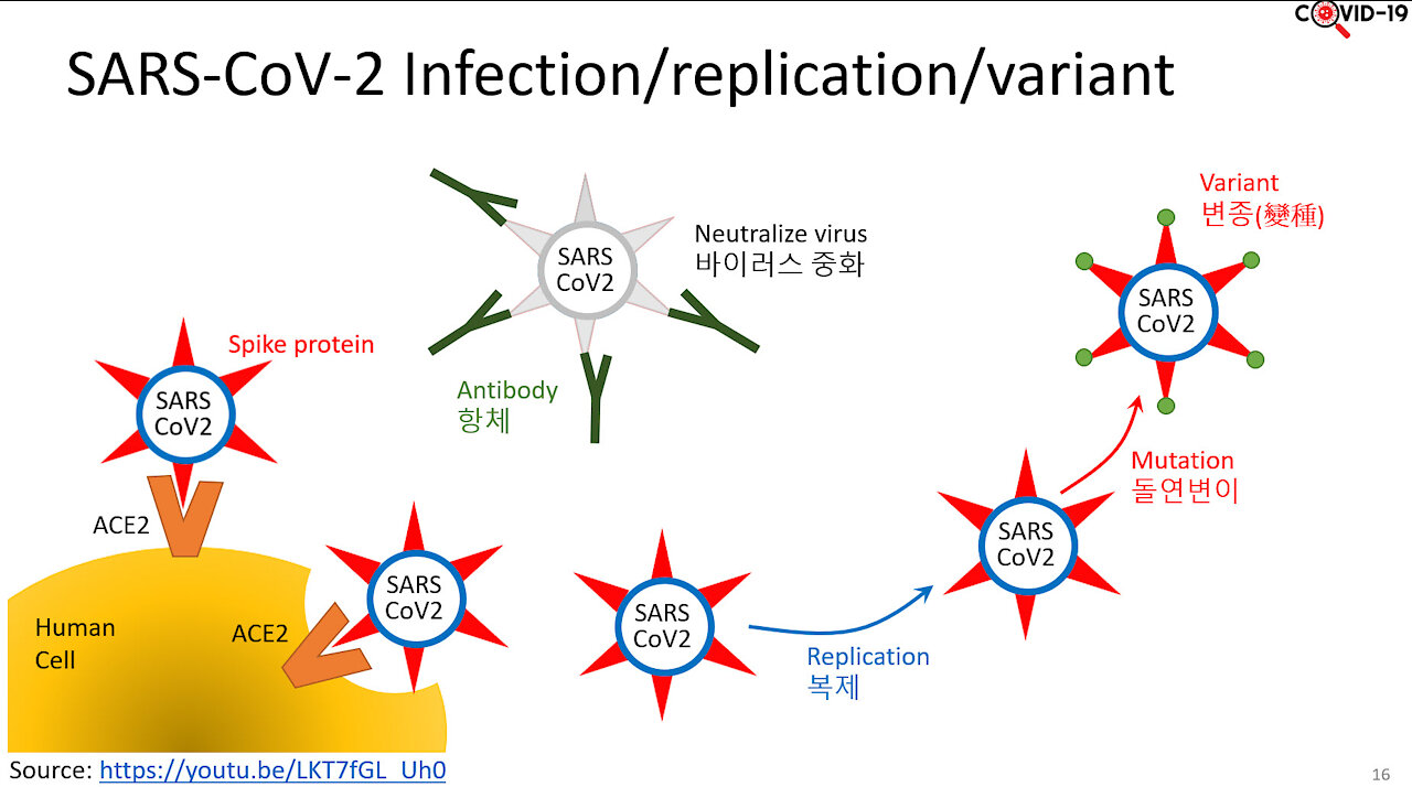 Understanding COVID-19 : Part 1/4