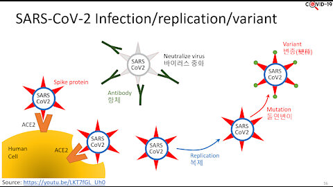 Understanding COVID-19 : Part 1/4