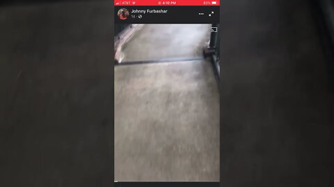 Bird rescue at Texas State Capital