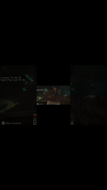 I Dont Think They Like Me in Minecraft