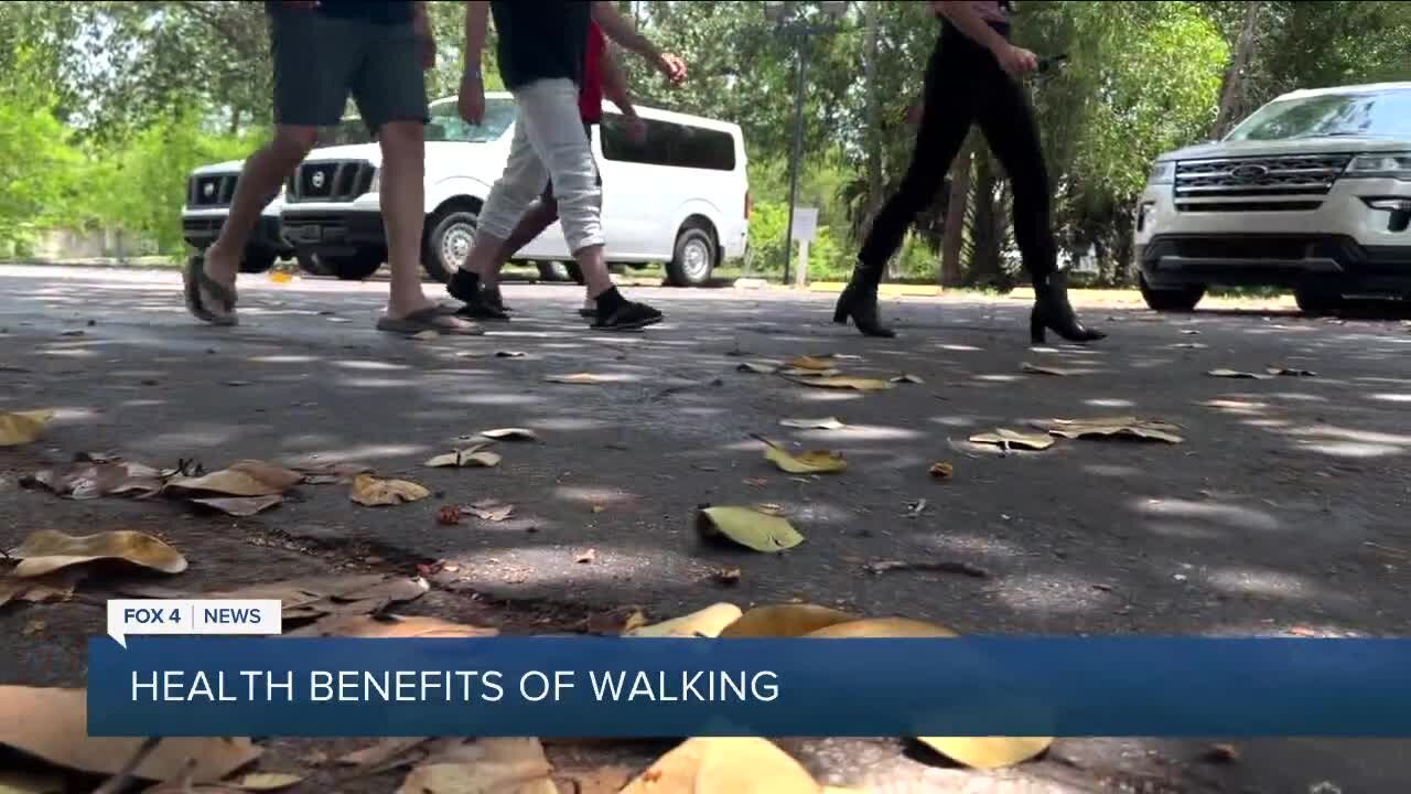 Your Healthy Family: Physical & mental health benefits of walking - Part 1