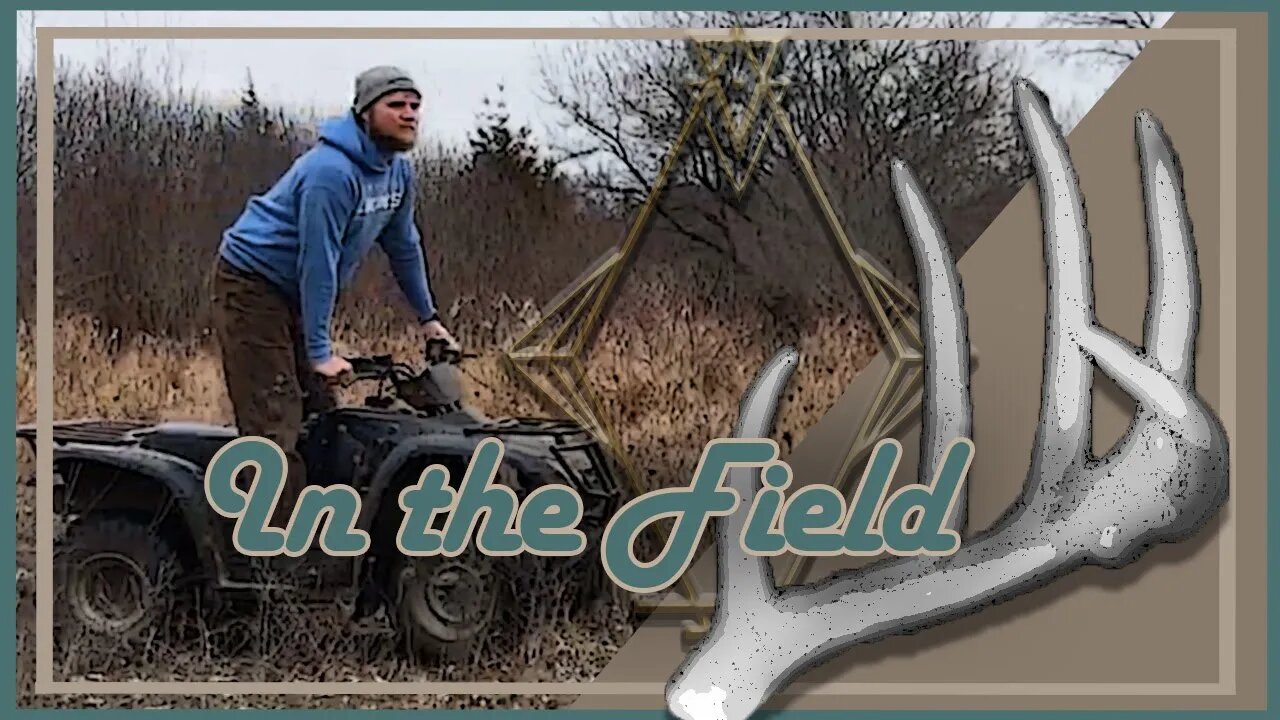 Shed Hunting | In the Field