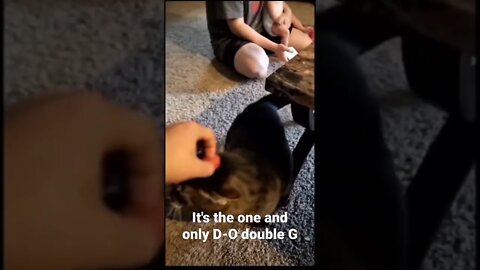 MEME is the one and only D-O double G #shorts