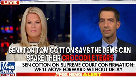 Senator Tom Cotton Says the Dems Can Spare Their Crocodile Tears