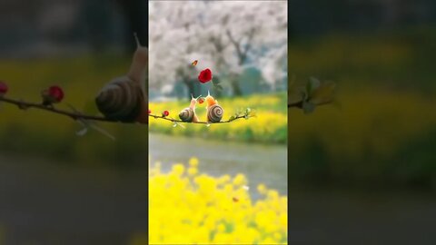 Beauty of nature