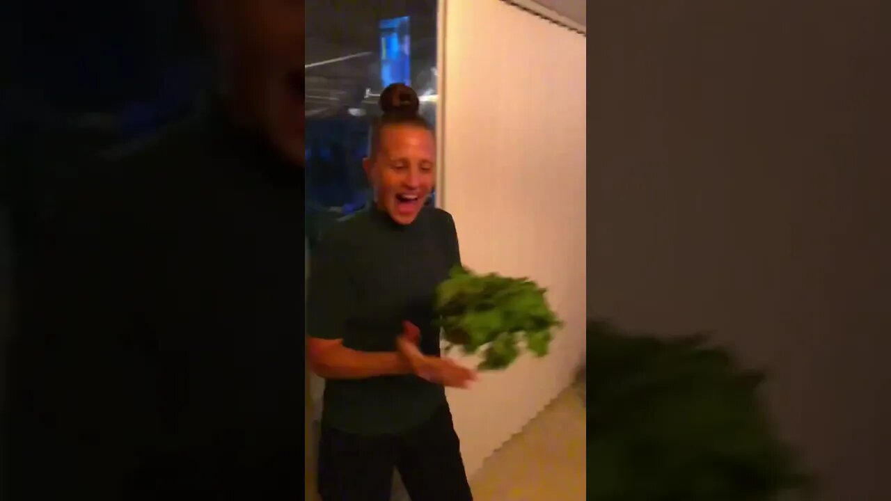 Jenny’s SUPER EXCITED about her LATE NIGHT GREENS HARVEST! 🧑‍🌾🥬❤️ #shorts #viral #tiktok