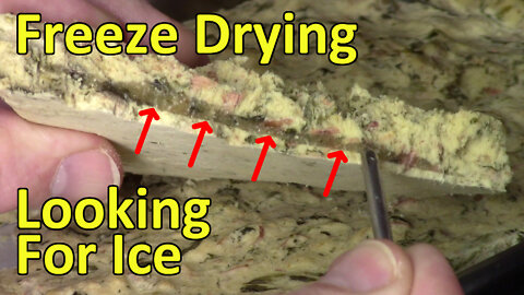 Showing Ice In Freeze Dried Food
