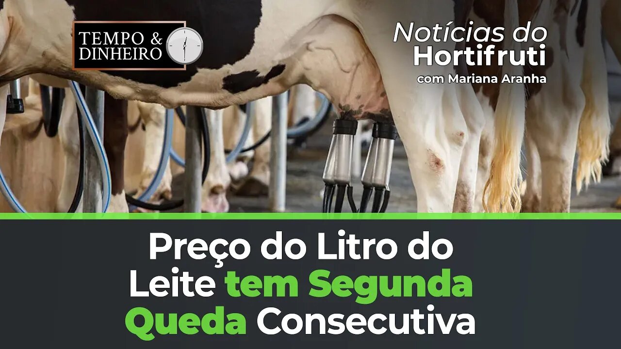 Boletim registra segunda queda consecutiva no preço do litro do leite