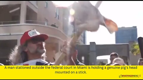 A man stationed outside the federal court in Miami is holding a genuine pig's head mounted