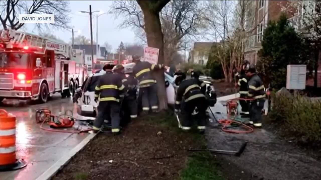 Car vs tree: Shocking crash leaves neighbors startled