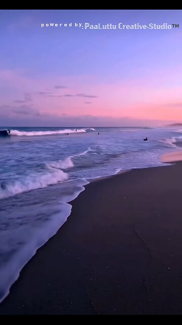 Steve Harvey Life Lessons 100%