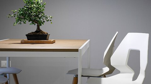 A study reveals people should upgrade from 'fast furniture' by age 28