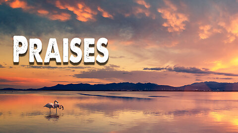 Praises | Elevation Rhythm (Worship Lyric Video)