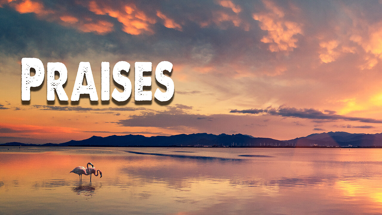 Praises | Elevation Rhythm (Worship Lyric Video)