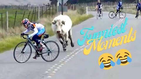 Funniest Moments of the Year Compilation 😆🔥🐷 #5