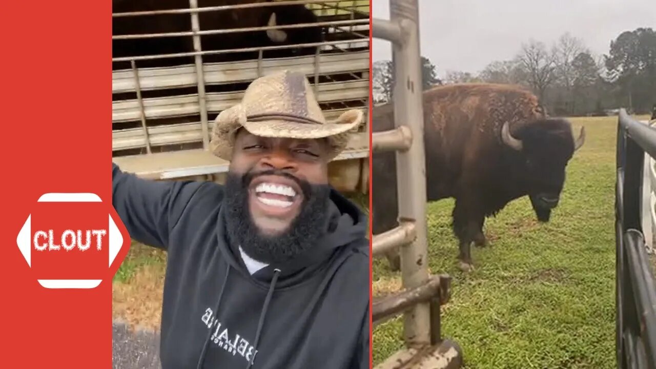 Rick Ross Is Excited After Being Gifted Two Buffalos For His Ranch!